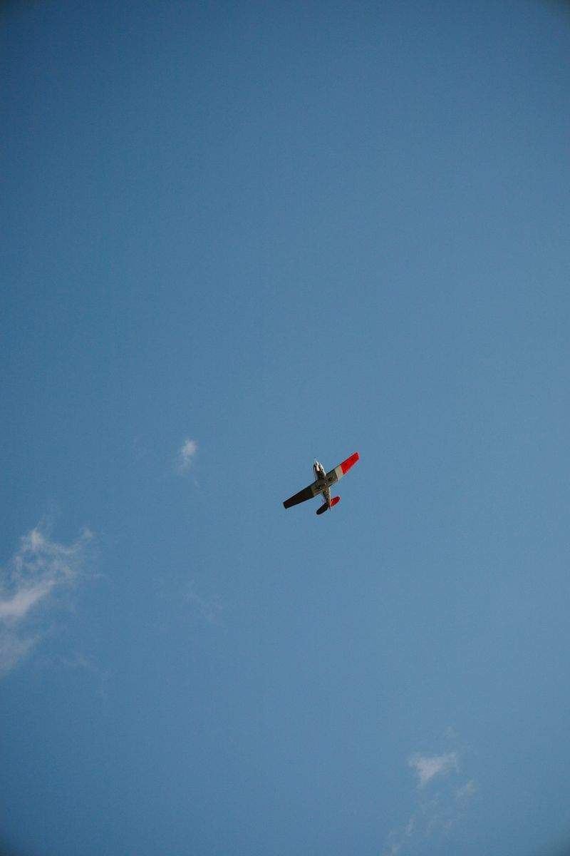 趣味の楽園株式会社 - Image 7